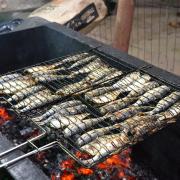 13-edicao-do-festival-da-sardinha-tem-novidades-e-sabores-tradicionais.jpg