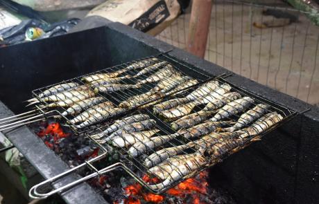13-edicao-do-festival-da-sardinha-tem-novidades-e-sabores-tradicionais.jpg