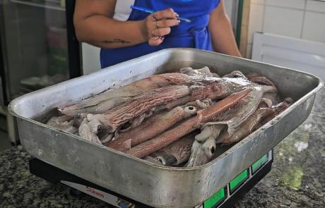 4-edicao-do-festival-da-lula-de-ilhabela-traz-como-novidade-programacao-no-mercado-do-peixe-e-centro-cultural-da-salga.jpeg