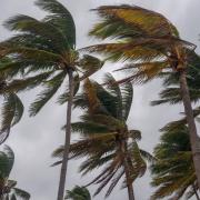 captura-de-tela-2025-06-30-090846.jpg