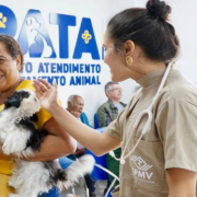 captura-de-tela-2026-02-26-162833.png