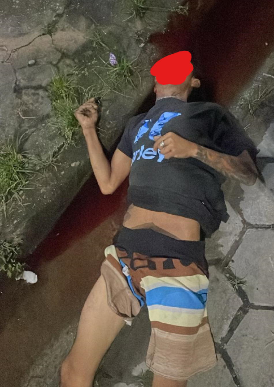 captura-de-tela-2026-03-03-081253.png