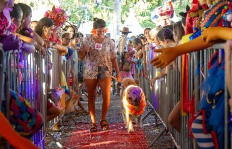 carnapet-promete-muita-diversao-aos-folioes-e-seus-pets-no-sabado-de-carnaval-1.jpg