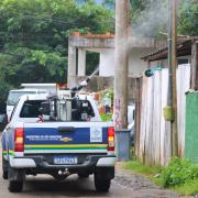 decreto-estabelece-medidas-para-combate-do-aedes-aegypti-em-sao-sebastiao-2.jpeg