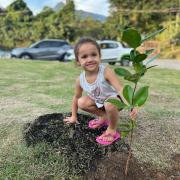 entre-o-verde-e-o-azul-ilhabela-planta-consciencia-e-colhe-esperanca-no-dia-mundial-do-meio-ambiente-2025.jpeg