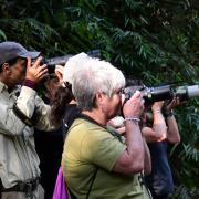 ilhabela-realiza-bird-week-2025-com-programacao-especial-de-observacao-de-aves-e-educacao-ambiental-2.jpeg