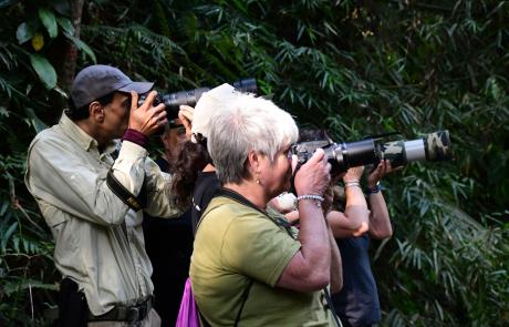 ilhabela-realiza-bird-week-2025-com-programacao-especial-de-observacao-de-aves-e-educacao-ambiental-2.jpeg