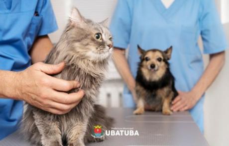 maranduba-tera-mutirao-de-castracao-de-caes-e-gatos-neste-domingo.jpg
