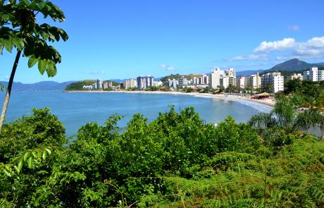 martim-de-sa-jc-curtis-1.jpg