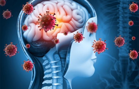 meningite-1.png
