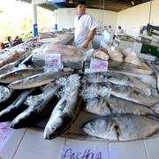 mercadopeixe_-e1680716480262-770x545.jpg