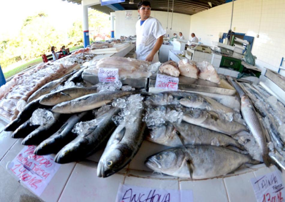 mercadopeixe_-e1680716480262-770x545.jpg