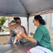 programa-“bem-estar-animal-–-cra-mais-perto-de-voce”-leva-atendimento-gratuito-e-vacinacao-para-60-pets-no-green-park.jpg