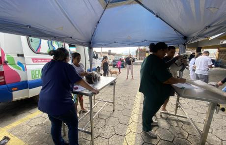 programa-“bem-estar-animal”-vacina-50-pets-na-barra-velha-com-atendimentos-gratuitos.jpg