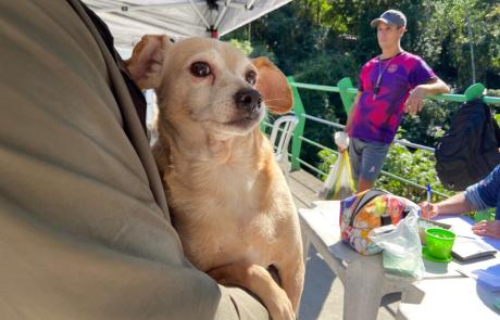 programa-“bem-estar-animal”-vacina-57-pets-no-morro-do-cantagalo-1.jpeg