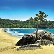 sao-sebastiao-meio-ambiente-praia-praia-cigarras-4-bx.jpg