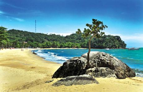 sao-sebastiao-meio-ambiente-praia-praia-cigarras-4-bx.jpg