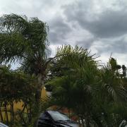 whatsapp-image-2025-06-23-at-134542.jpeg